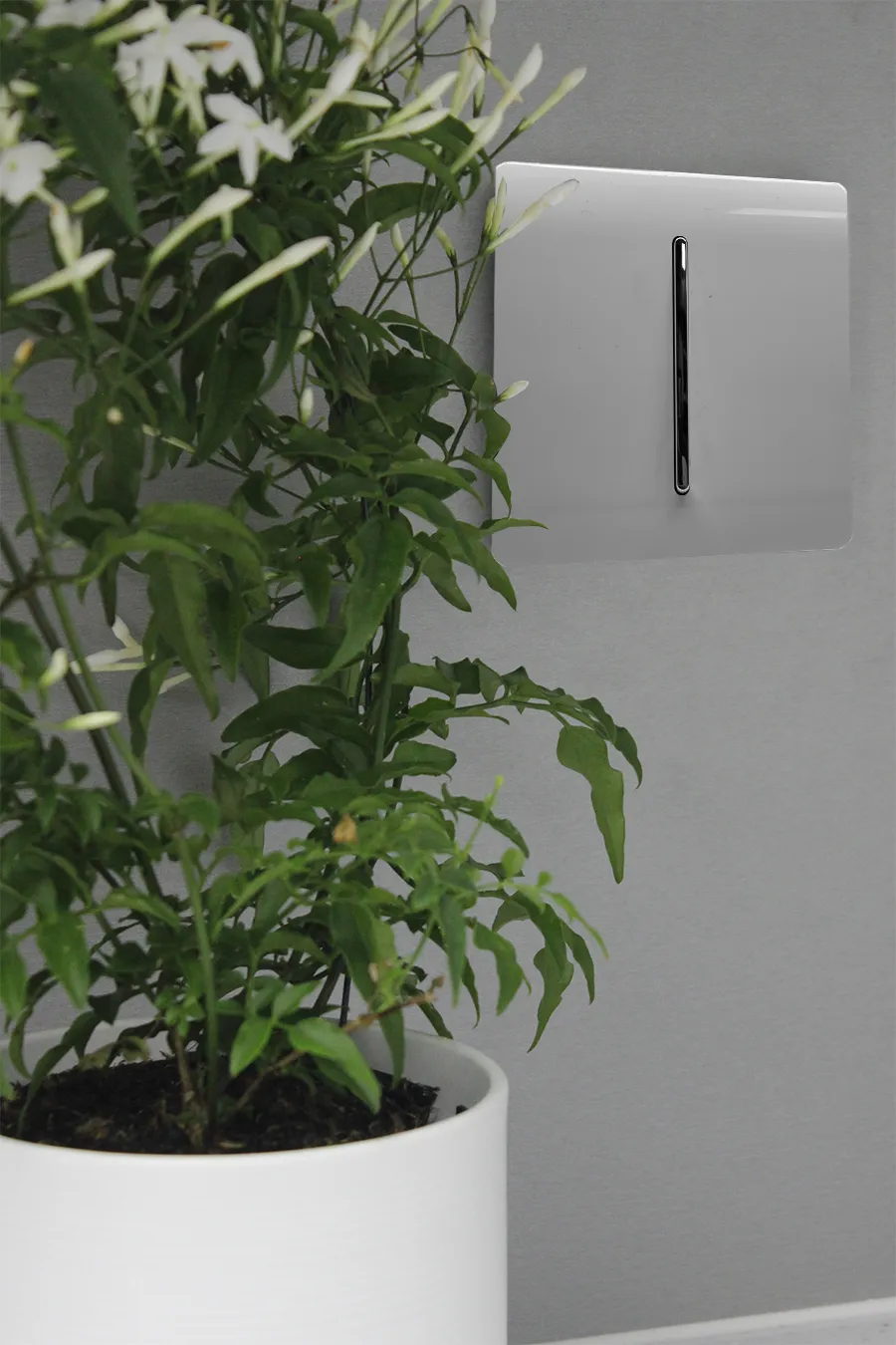 Light Grey Wiring Accessories Trendi Decorative Screwless Light Grey Wiring Accessories Trendi Decorative Screwless